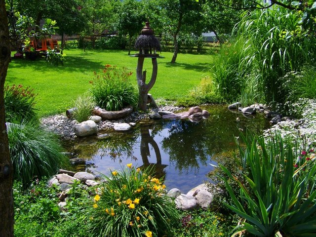 grass-lawn-flower-pond-stream-backyard-712570-pxhere.com (1).jpg