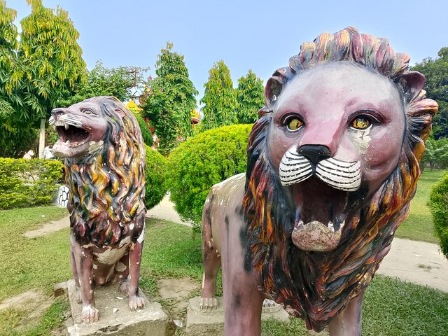 1000041036.jpg