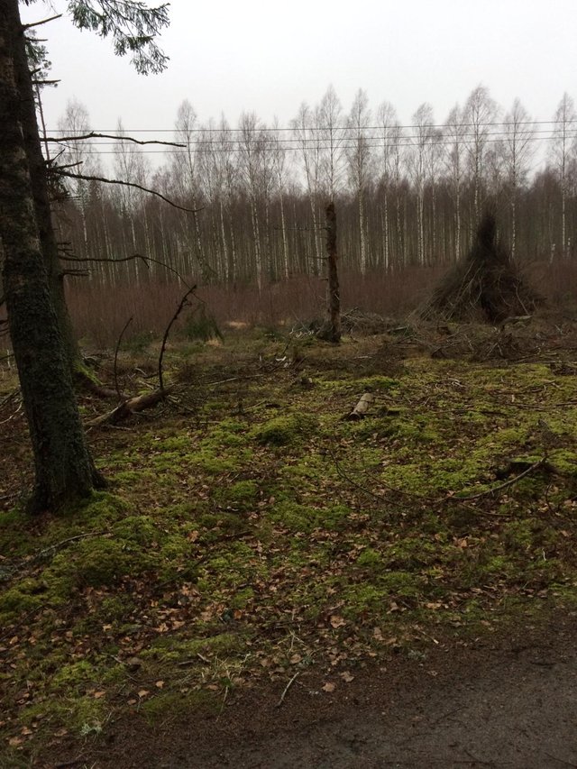 IMG-20191230-WA0008.jpg