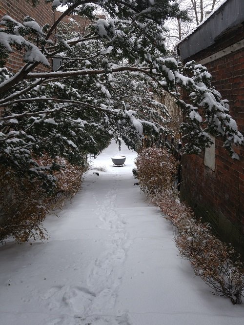 Path in Snow.jpg