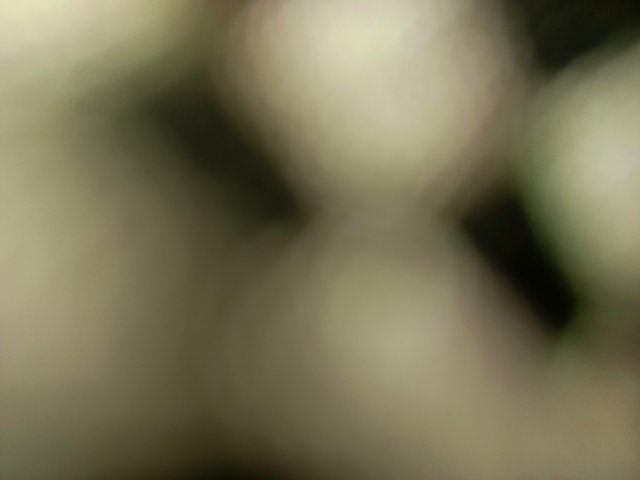 1000664790.jpg