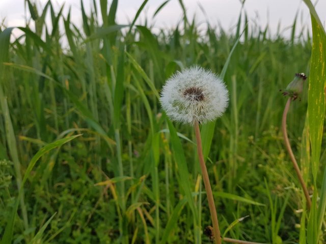 farm photos  (4).jpeg