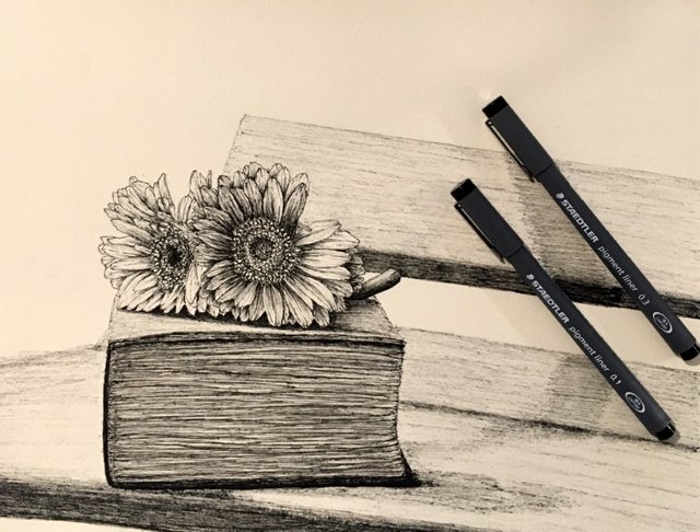 gerbera-flower-pen-drawing.jpg