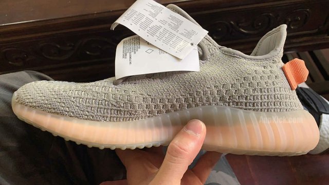 Vind yeezy true form 40 op