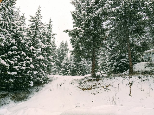 IMG_20200106_100043.jpg