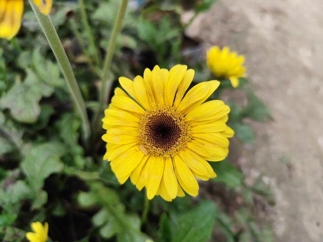 IMG_20250714_175658.jpg