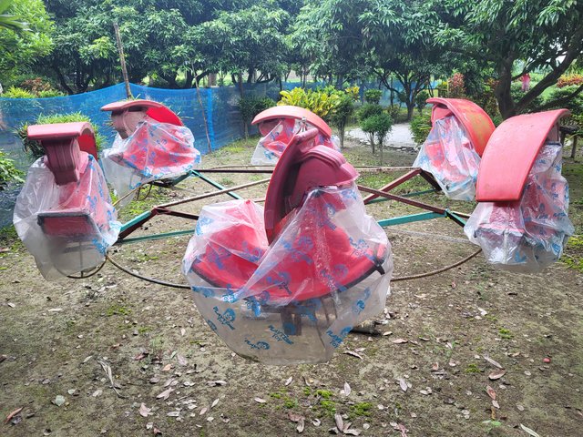 20250813_173143.jpg