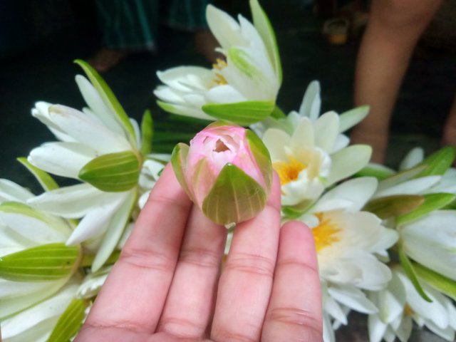 IMG20251002082922.jpg