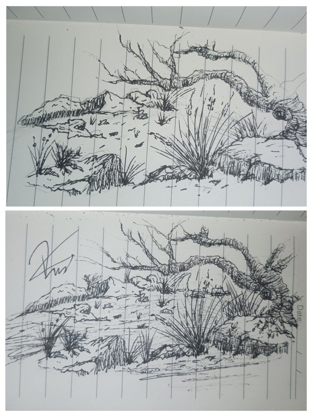 20250915_164046-COLLAGE.jpg