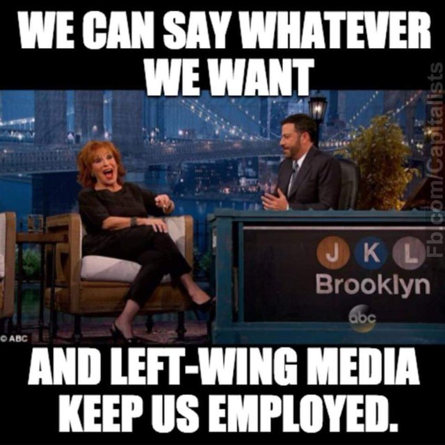 Roseanne KIMMEL can say whatever and left keeps em employed.jpeg