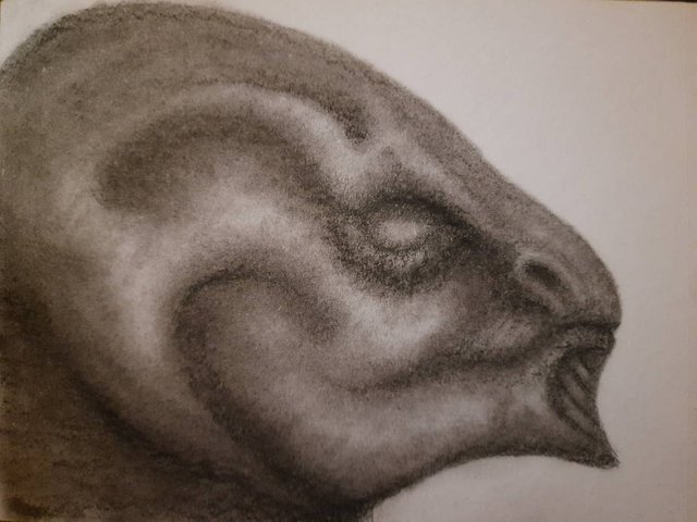 20250521_112136.jpg