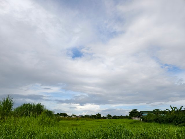 IMG_20250704_080839.jpg