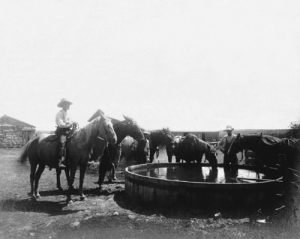 Cowboys-at-Water-Trough-Dodge-City-300x239.jpg