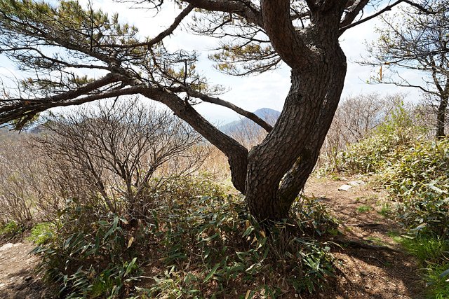 b-DSC09105.JPG