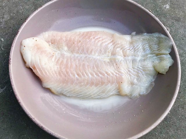 fish1 (6).JPG