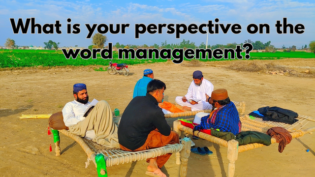 What is your perspective on the word management__20250119_110018_0000.png