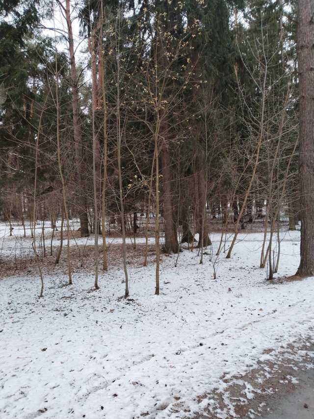 IMG_20250406_181644.jpg