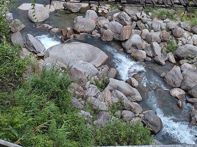 IMG_20250610_123433.jpg