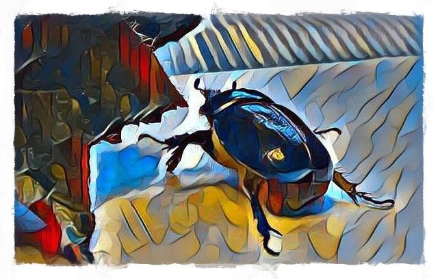 escarabajo-002_FotoSketcher.jpg