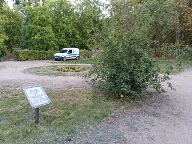 20250920_182644.jpg