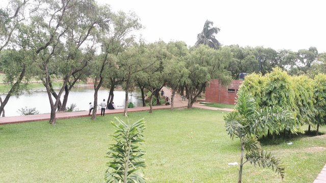 IMG_20240526_114758.jpg