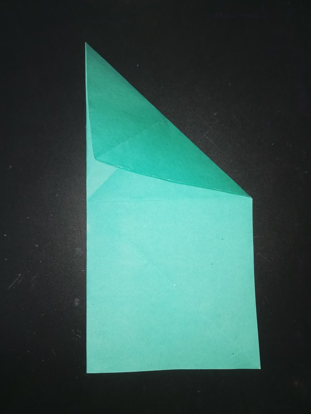 1000029776.jpg