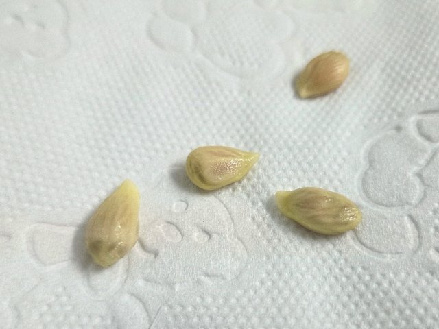 20250911_185311.jpg