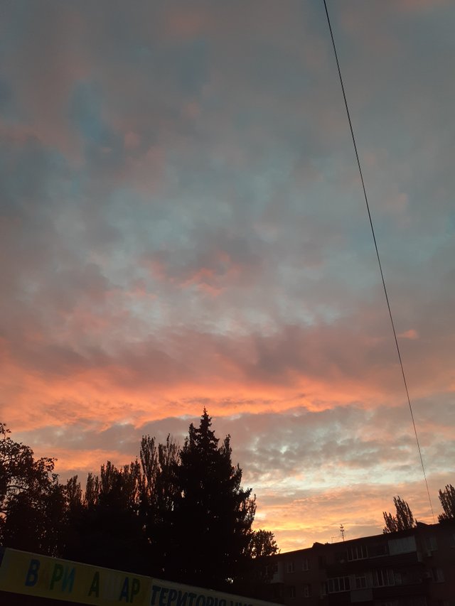 20250818_195806.jpg