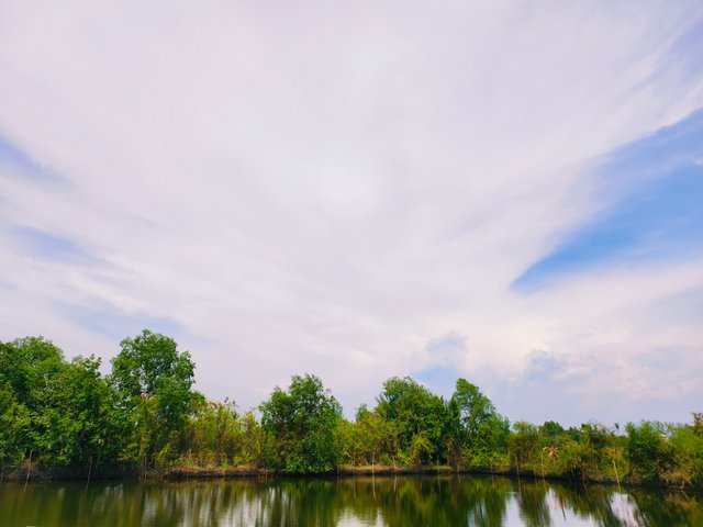 IMG_20250606_144715.jpg