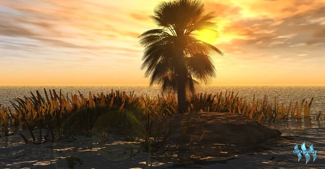 solnedgang 1 A.jpg
