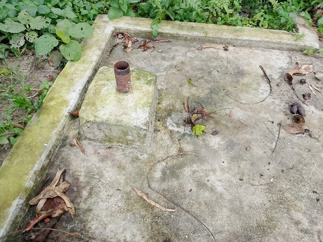 1000042717.jpg
