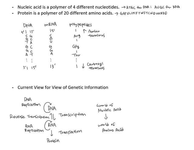 Biochem lesson 1-2.PNG