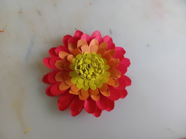 1000050916.jpg