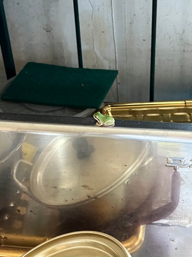 IMG_1861.jpeg