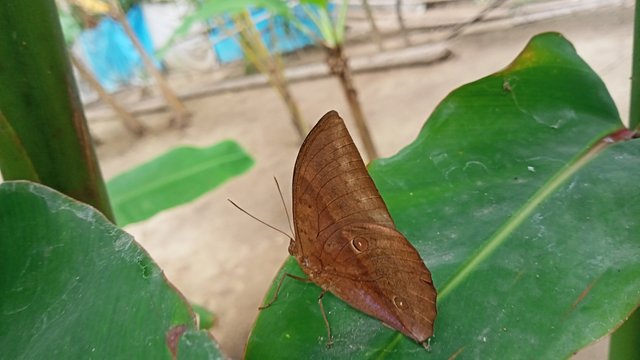 IMG20250520151912.jpg