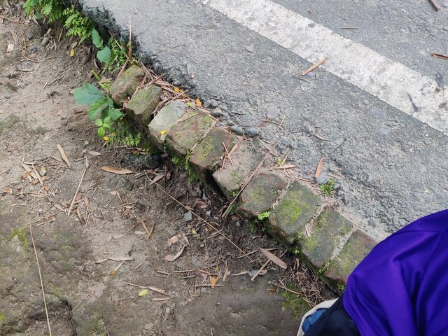 1000049975.jpg