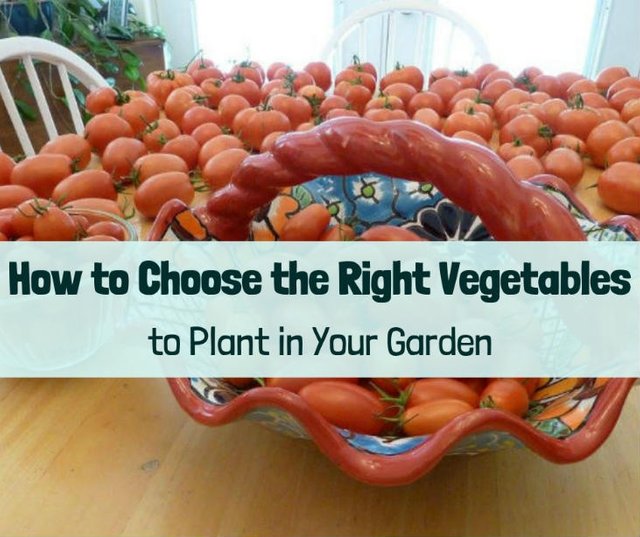 choose-right-vegetables-featured.jpg