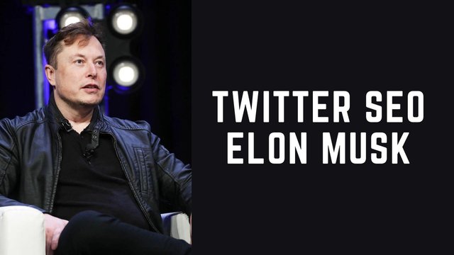 Twitter-SEO-Elon-Musk.jpg