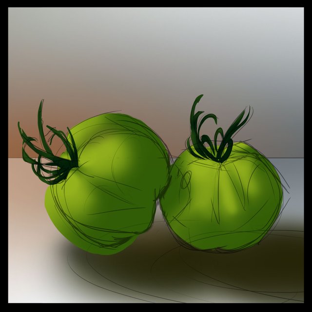 green-tomato-shadows.jpg