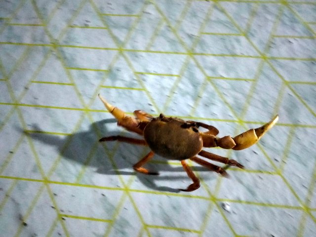 IMG20251009204408.jpg