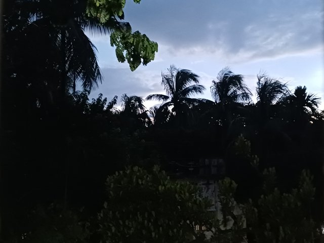 20250818_184118.jpg