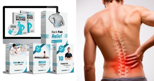 My-Back-Pain-Coach-Review-1.jpg