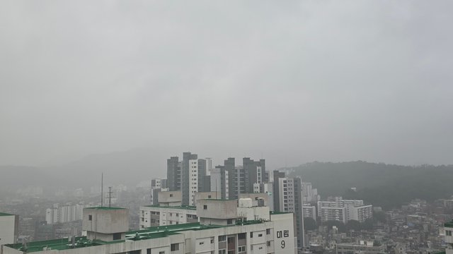 1000137306.jpg