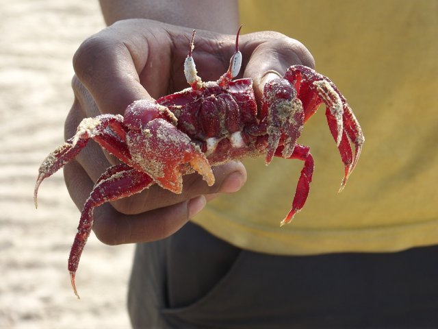 DSCF3379.JPG