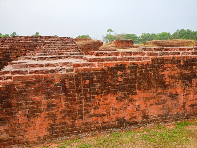IMG20250404101005.jpg