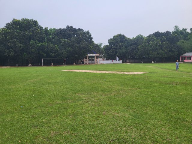 20250422_174631.jpg