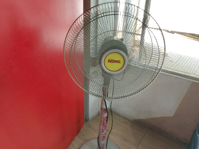 1000035247.jpg