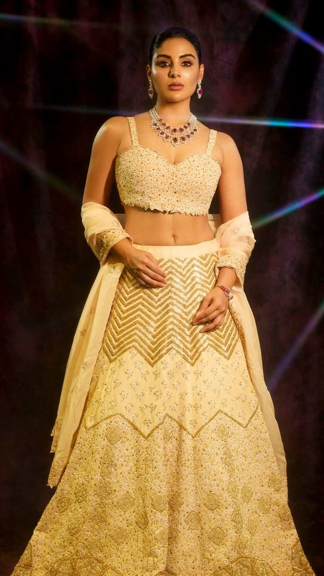 samyuktha-lehenga-choli-details.jpg