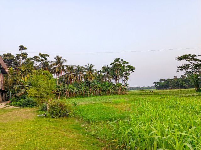 RIYAN_20250401_174258628.jpg