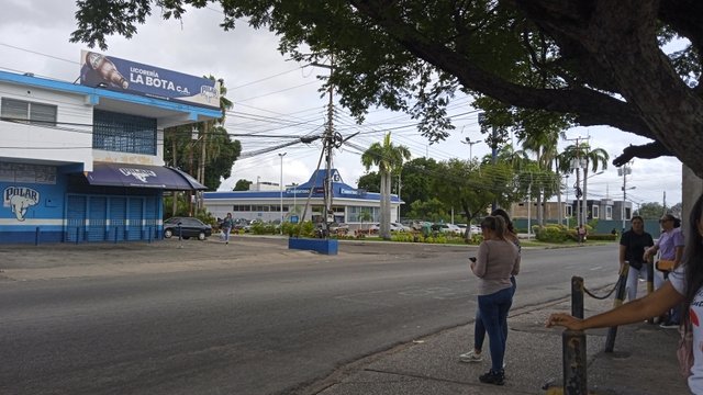 IMG_20250624_102116_1.jpg